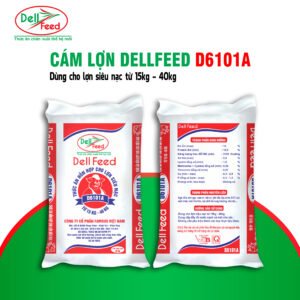 Cám Lợn DellFeed D6101A
