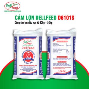 Cám Lợn DellFeed D6101S