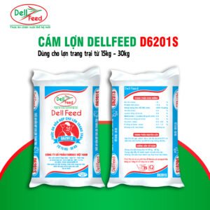 Cám Lợn DellFeed D6201S