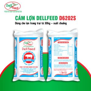 Cám Lợn DellFeed D6202S