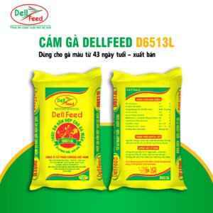 Cám Gà DellFeed D6513L