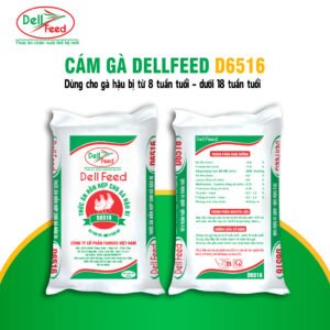 Cám Gà DellFeed D6516