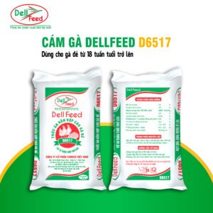 Cám Gà DellFeed D6517