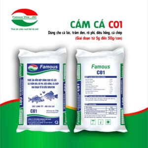 Cám Cá C01