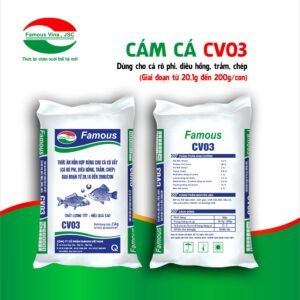 Cám Cá CV03