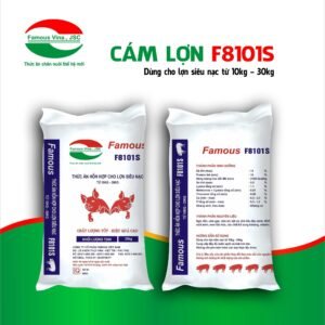 Cám Lợn F8101S
