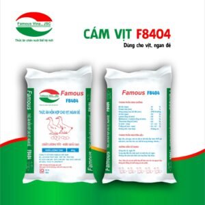 Cám Vịt F8404