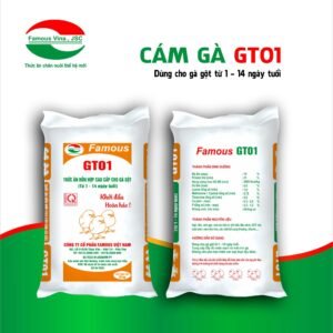 Cám Gà GT01