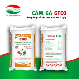 Cám Gà GT03